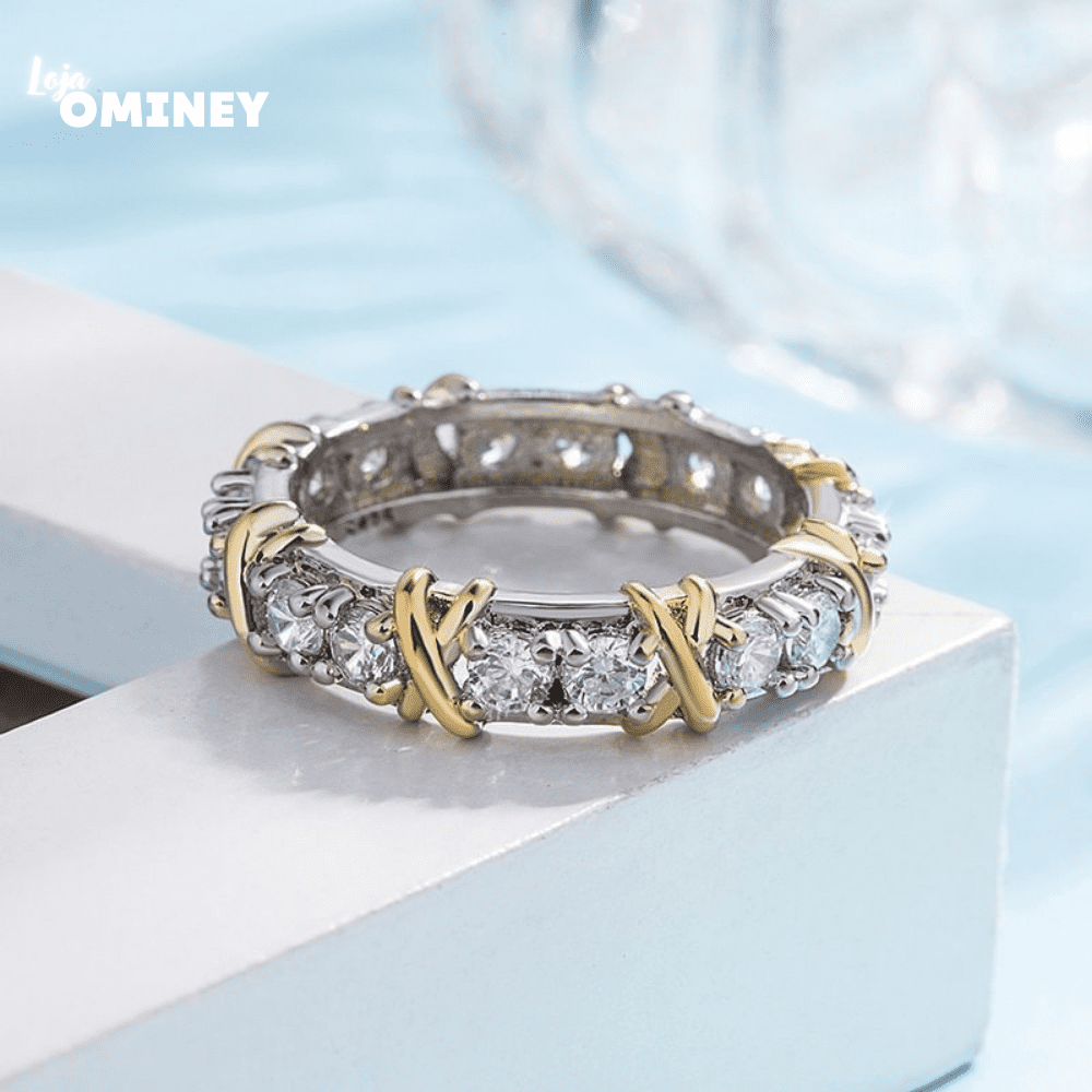 Anel de Íon - Magnético