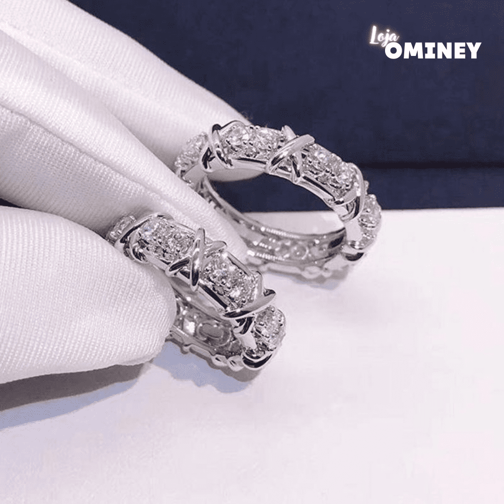 Anel de Íon - Magnético